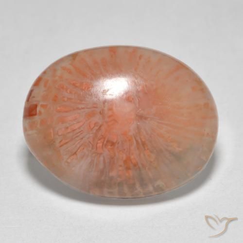 7.86ct Naturel Multicolore Corail, ovale, Translucide