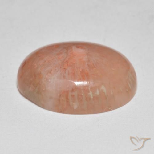 Corail Multicolore naturelle ovale, 7.86 ct, Translucide