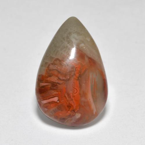Corail multicolore naturelle en forme de poire, 4,44 ct, translucide