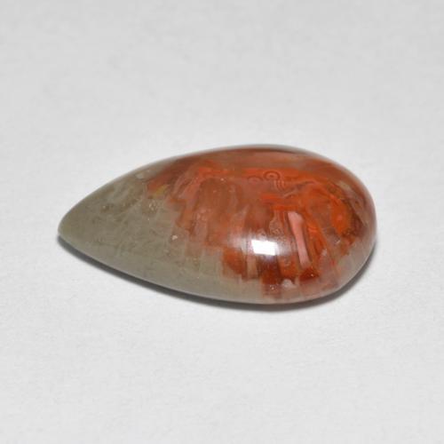 Corail multicolore naturelle en forme de poire, 4,44 ct, translucide