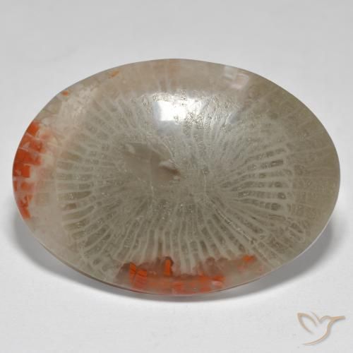 17.43ct Naturel Multicolore corail, ovale, Opaque