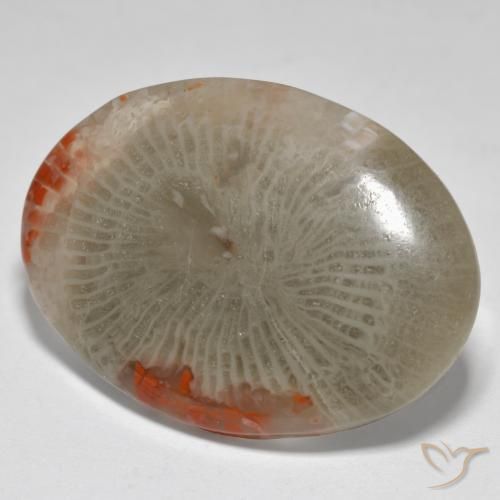 Corail Multicolore naturelle ovale, 17.43 ct, Opaque