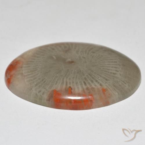 Corail Multicolore naturelle ovale, 17.43 ct, Opaque