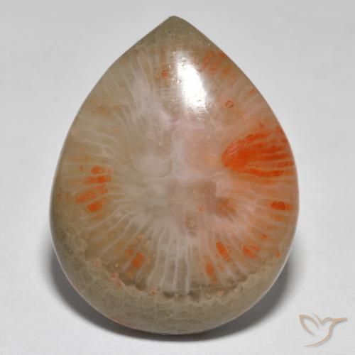 16.37ct Naturel Multicolore corail, En forme de poire, Translucide