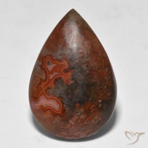 9.18ct Naturel Multicolore Corail, En forme de poire, Translucide
