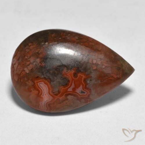 Corail Multicolore naturelle En forme de poire, 9.18 ct, Translucide