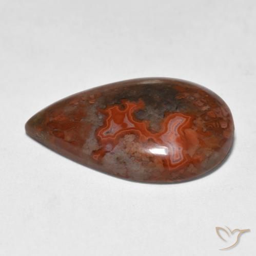 Corail Multicolore naturelle En forme de poire, 9.18 ct, Translucide