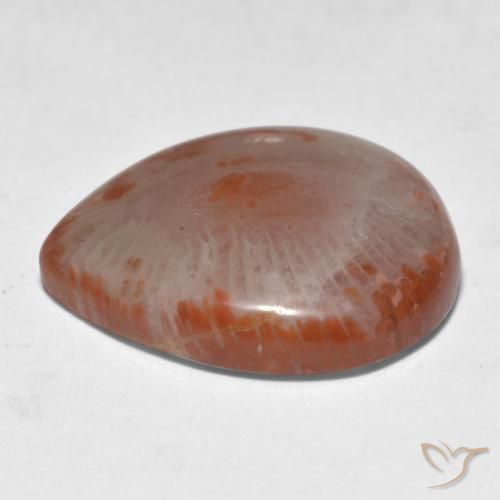 Corail multicolore naturelle en forme de poire, 11,24 ct, translucide