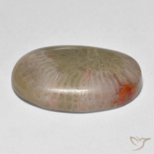 Corail Multicolore naturelle ovale, 12.89 ct, Translucide