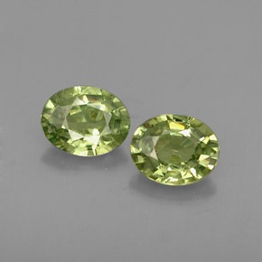 Achetez naturel ct vert grenat démantoïde gems, coupe ovale, en provenance namibie chez gemselect. en stock, livraison internationale!