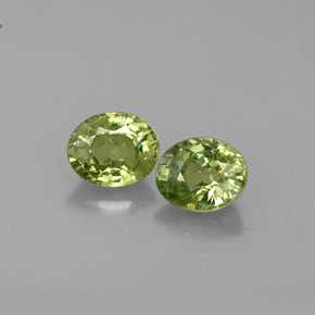 Achetez naturel ct vert grenat démantoïde gems, coupe ovale, en provenance namibie chez gemselect. en stock, livraison internationale!
