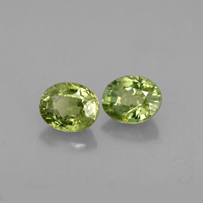 Achetez naturel ct vert grenat démantoïde gems, coupe ovale, en provenance namibie chez gemselect. en stock, livraison internationale!
