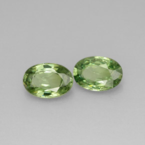 Achetez naturel ct vert grenat démantoïde gems, coupe ovale, en provenance namibie chez gemselect. en stock, livraison internationale!