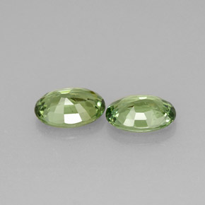 Achetez naturel ct vert grenat démantoïde gems, coupe ovale, en provenance namibie chez gemselect. en stock, livraison internationale!