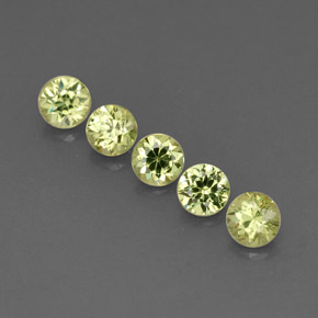 Achetez naturel ct vert grenat démantoïde gems, coupe roude, en provenance namibie chez gemselect. en stock, livraison internationale!