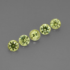 Achetez naturel ct vert grenat démantoïde gems, coupe roude, en provenance namibie chez gemselect. en stock, livraison internationale!