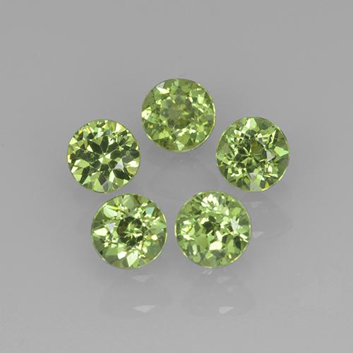 Achetez naturel 1,13ct vert grenat démantoïde gems, coupe roude, en provenance namibie chez gemselect. en stock, livraison internationale!