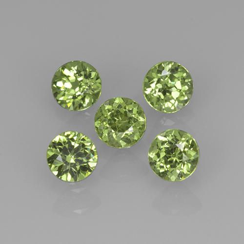 Achetez naturel 1,13ct vert grenat démantoïde gems, coupe roude, en provenance namibie chez gemselect. en stock, livraison internationale!