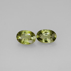 Achetez naturel ct vert grenat démantoïde gems, coupe ovale, en provenance namibie chez gemselect. en stock, livraison internationale!