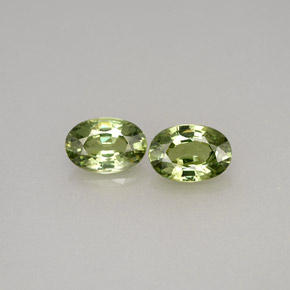 Achetez naturel ct vert grenat démantoïde gems, coupe ovale, en provenance namibie chez gemselect. en stock, livraison internationale!