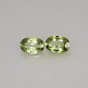 Achetez naturel ct vert grenat démantoïde gems, coupe ovale, en provenance namibie chez gemselect. en stock, livraison internationale!