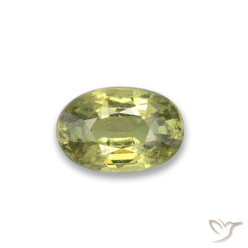 0.47ct Naturel Vert forêt chaud Grenat démantoïde, ovale, VVS-VS