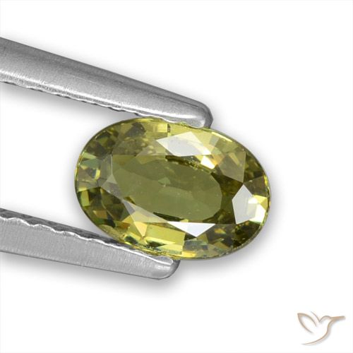0.57ct Naturel Vert forêt chaud Grenat démantoïde, ovale, VVS-VS