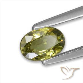 Grenat démantoïde Vert forêt chaud naturelle ovale, 0.57 ct, VVS-VS