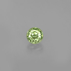 Grenat démantoïde vert naturelle coupe roude, 0,32 ct, VS