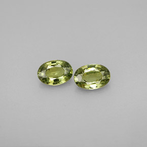 Achetez naturel ct vert grenat démantoïde gems, coupe ovale, en provenance namibie chez gemselect. en stock, livraison internationale!
