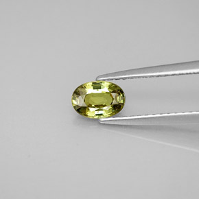 Grenat démantoïde vert naturelle coupe ovale, 0,63 ct, VS