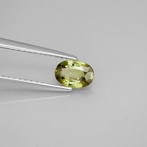 Grenat démantoïde vert naturelle coupe ovale, 0,63 ct, VS