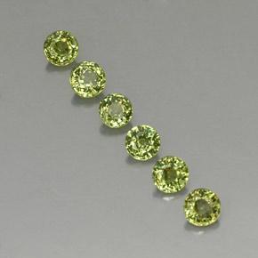 Achetez naturel 1,62ct vert grenat démantoïde gems, coupe roude, en provenance namibie chez gemselect. en stock, livraison internationale!
