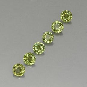 Achetez naturel 1,62ct vert grenat démantoïde gems, coupe roude, en provenance namibie chez gemselect. en stock, livraison internationale!