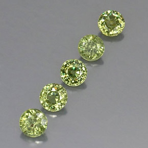 Achetez naturel 1,69ct vert grenat démantoïde gems, coupe roude, en provenance namibie chez gemselect. en stock, livraison internationale!
