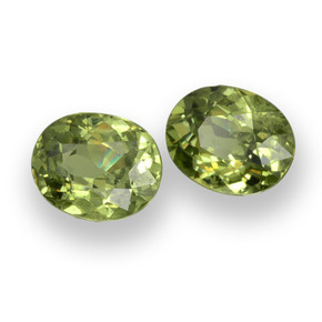 Achetez naturel 0,93ct vert grenat démantoïde gems, coupe ovale, en provenance namibie chez gemselect. en stock, livraison internationale!