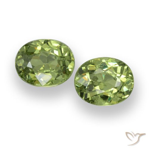 Achetez naturel 0.88ct Vert forêt léger Grenat Démantoïde gems, Coupe ovale, En provenance Namibie chez GemSelect. En stock, livraison internationale!