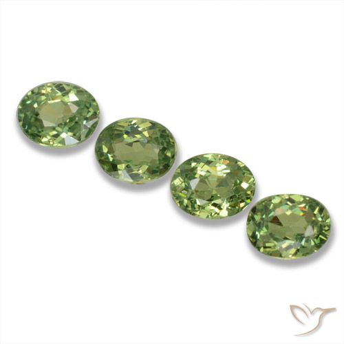 1.14ctw Naturel Vert chaud Grenat démantoïde, ovale, VS