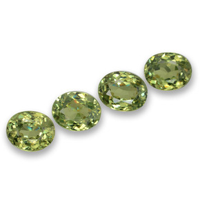 Achetez naturel 1,66ct vert grenat démantoïde gems, coupe ovale, en provenance namibie chez gemselect. en stock, livraison internationale!