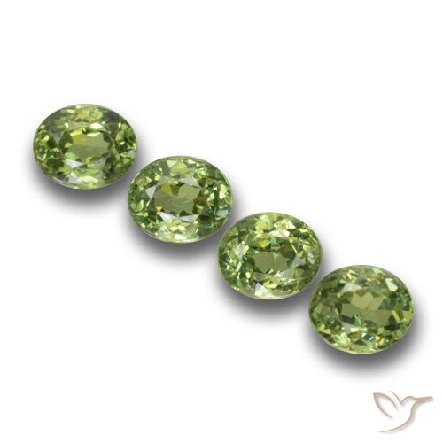 Shop natural 1.37ct Vert chaud Grenat démantoïde gems, ovale, from Namibie at GemSelect. In stock, global shipping!