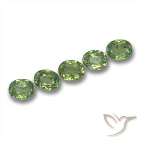 Shop natural 1.57ct Vert moyen Grenat démantoïde gems, ovale, from Namibie at GemSelect. In stock, global shipping!