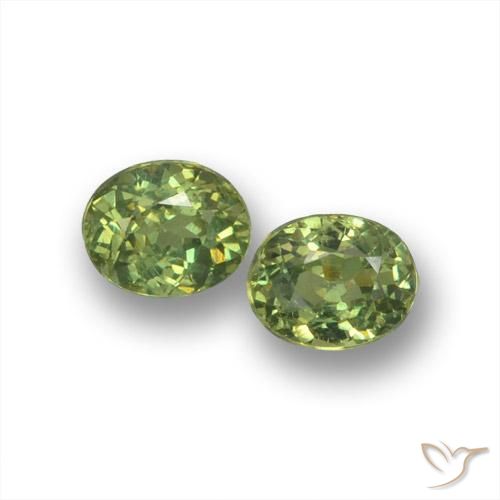 0.80ctw Naturel Vert moyen Grenat démantoïde, ovale, VS