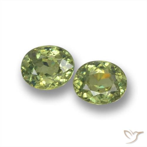 Achetez naturel 0.84ct Vert moyen Grenat Démantoïde gems, Coupe ovale, En provenance Namibie chez GemSelect. En stock, livraison internationale!