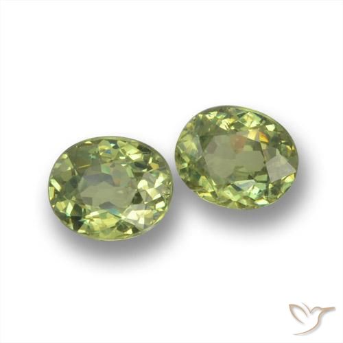 Achetez naturel 0.84ct Vert moyen Grenat Démantoïde gems, Coupe ovale, En provenance Namibie chez GemSelect. En stock, livraison internationale!
