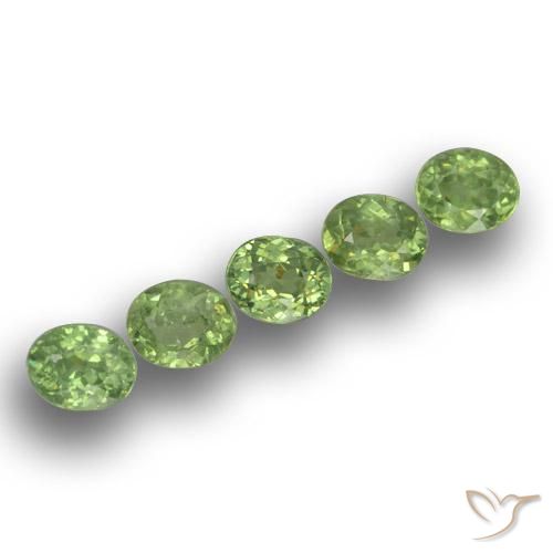 Shop natural 1.73ct Forêt verte Grenat démantoïde gems, ovale, from Namibie at GemSelect. In stock, global shipping!
