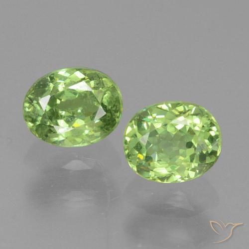 0.81ctw Naturel Vert chaud Grenat démantoïde, ovale, VS-SI