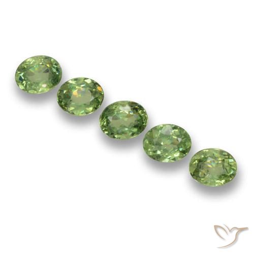 1.49ctw Naturel Vert chaud Grenat démantoïde, ovale, VS