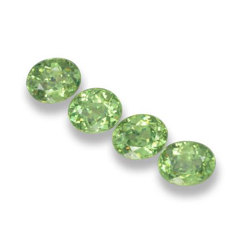 Achetez naturel 1,57ct vert grenat démantoïde gems, coupe ovale, en provenance namibie chez gemselect. en stock, livraison internationale!