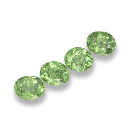 Achetez naturel 1,57ct vert grenat démantoïde gems, coupe ovale, en provenance namibie chez gemselect. en stock, livraison internationale!