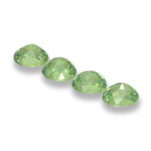 Achetez naturel 1,57ct vert grenat démantoïde gems, coupe ovale, en provenance namibie chez gemselect. en stock, livraison internationale!